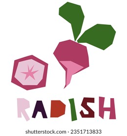Pink radish, whole and in section, is highlighted on a white background. The original signature is radish. Products from the farmer's market, organic food. Geometric stylized flat vector illustration