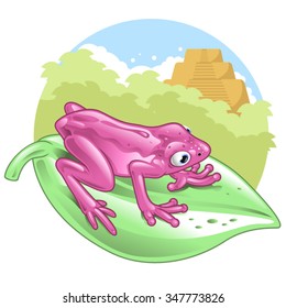 Pink rain forest frog on a leaf with jungle temple background