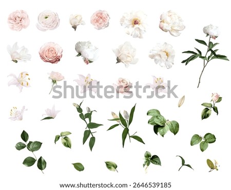 Pink ranunculus, white peony, blush pink rose, magnolia, white lily, camellia, floral buds and greenery vector design wedding spring set. Floral summer watercolor. Elements are isolated and editable