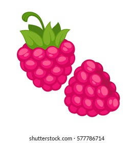 Pink raspberries realistic vector illustration. Healthy berries isolated on white background. Organic edible rough berry in cartoon style design. Ripe juicy raspberries with green leaves.