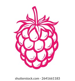 Pink Raspberry Line Art Illustration