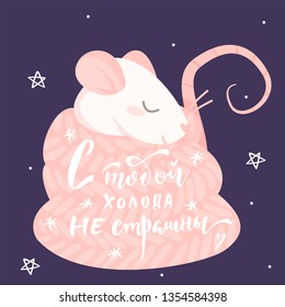 Pink rat in a scarf and lettering with you i'm not afraid of the cold in russian language on a purple background