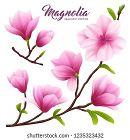 Pink Realistic Magnolia Flower Icon Set Flowers On Branch With Leaves Beautiful And Cute Vector Illustration