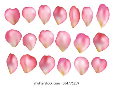 Pink realistic vector rose petals set isolated on a white background.