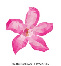 Pink and red adenium flower, isolated on white background, Low Poly Style Illustration