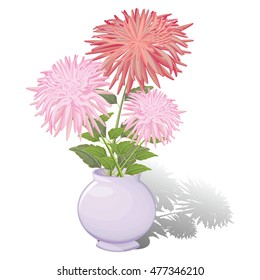 Pink and red dahlias in a white vase.A bouquet of flowers in a vase. Vector illustration