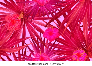 Pink red exotic pattern. Monstera leaves and hibiscus flowers in summer print.  Hawaiian t-shirt and swimwear tile.  Horizontal romantic wild vector exotic tile. Bonny spring botanical design.