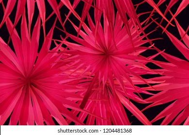 Pink red exotic pattern. Monstera leaves and hibiscus flowers in summer print.  Saturated large floral swimwear print. Horizontal california natural texture design. Hypernatural botanic design.