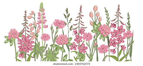 pink and red field flowers, vector drawing wild flowering plants at white background, floral border, hand drawn botanical illustration