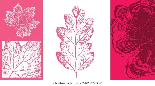 Rosa, rojo, magenta Elementos de ilustración de hoja botánica. Estampados decorativos de hojas o arte de hojas con anillos de árbol.