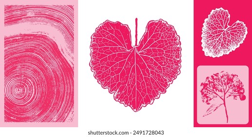 Rosa, rojo, magenta Elementos de ilustración de hoja botánica. Estampados decorativos de hojas o arte de hojas con anillos de árbol.