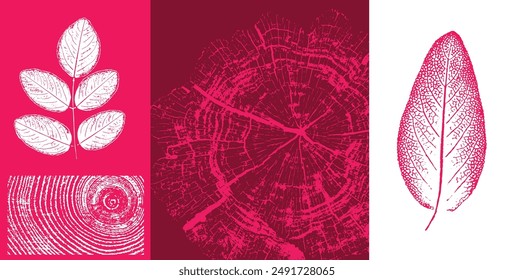 Rosa, rojo, magenta Elementos de ilustración de hoja botánica. Estampados decorativos de hojas o arte de hojas con anillos de árbol.