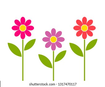 Pink, red and purple daisy flowers growing in garden. Vector illustration.