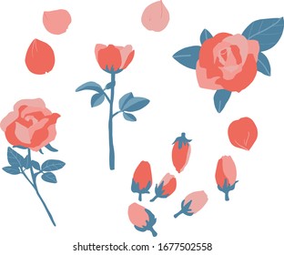 pink and red rose flowers