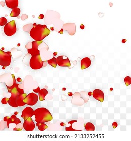 Pink Red Vector Realistic Petals Falling on Transparent Background.  Spring Romantic Flowers Illustration. Flying Petals. Sakura Spa Design. Blossom Confetti. Design Elements for  Wedding Decoration.