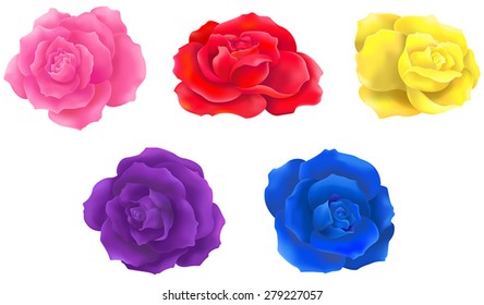 Pink red yellow blue purple color colorful rose flower flora collection icon design, create by vector