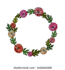 Pink, red, yellow chrysanthemum with leaves in round wreath on white isolated background.