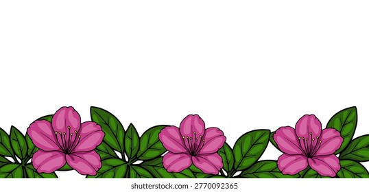 Pink rhododendron flower border vector illustration, vibrant green leaves, simple graphic design