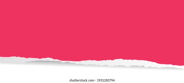 Pink Ripped Paper Isolated White Background, Vector Illustration