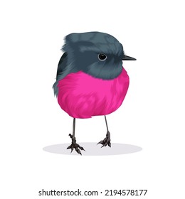 Pink Robin Bird Vector Illustration