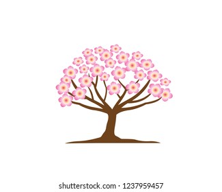 Pink Romantic Japanese Sakura Tree Logo Illustration In Isolated White Background