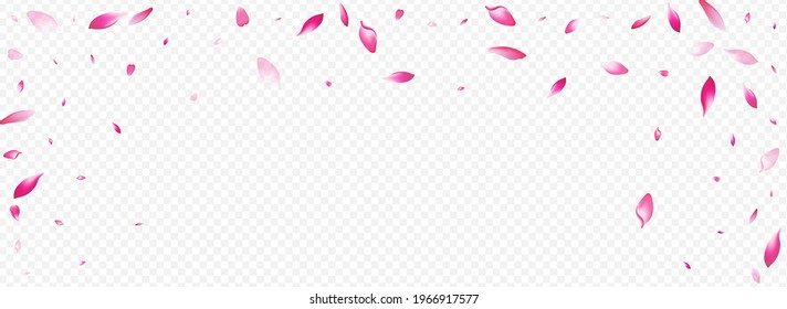 Pink Rosa Vector Panoramic Transparent Background. Blossom Air Template. Lotus Invitation Pattern. Bloom Free Cover. Purple Apple Marriage Texture.