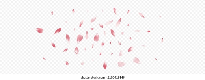 Pink Rosa Vector Panoramic Transparent Background. Bloom Falling Congratulation. Rose 3d Template. Apple Tender Illustration. Color Petal Blur Poster.