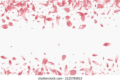 Pink Rosa Vector Transparent Background. Cherry March Design. Confetti Springtime Card. Bloom Overlay Banner. Color Leaf Free Texture.