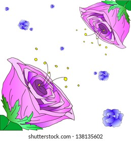 Pink Rose