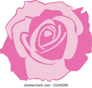 pink rose