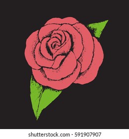 Pink rose	