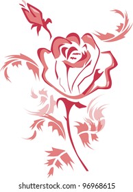 pink rose