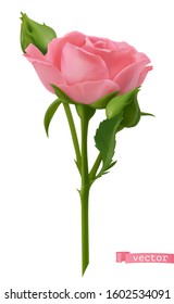 Pink Rose. 3d realistic vector object