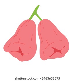 Imagen de Vector de fruta de manzanas rosadas, ilustración plana de manzana de campana, manzana de agua aislada sobre fondo blanco
