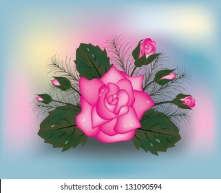 Pink rose background, vector illustration
