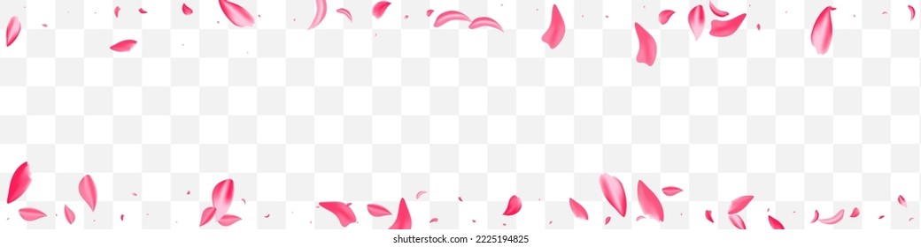 Pink Rose Beauty Vector Transparent Panoramic Background. Fly Cherry Illustration. Delicate Lotus Fall Banner. Red Sakura Summer Template.