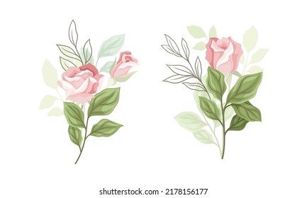 Pink Rose Blossom on Stem with Green Leaf as Garden Flora Vector Set