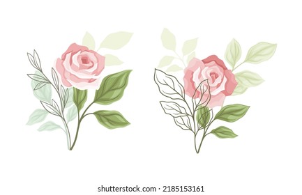 Pink Rose Blossom on Stem with Green Leaf as Garden Flora Vector Set