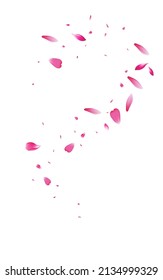 Pink Rose Blur Vector White Background. Beauty Flower Banner. Red Sakura Spring Wallpaper. Delicate Cherry Tender Backdrop.