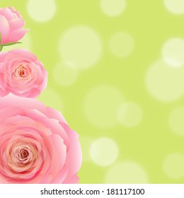 Pink Rose With Bokeh, With Gradient Mesh, Vector Illustration