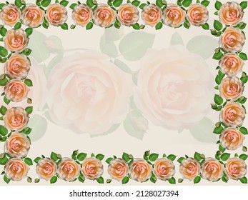 Pink Rose Border and Flowers Background