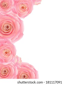 Pink Rose Border, With Gradient Mesh, Vector Illustration