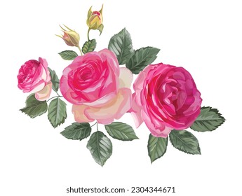 Pink rose bouquet isolated on white background