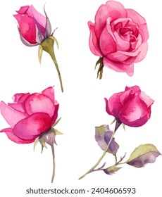 pink Rose bouquet, Watercolor clipart