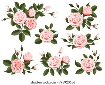 Pink rose boutonniere. Set for floral design of a greeting, wedding or invitation card. Bouquet of decorative garden flower. Bud, petals and leaves of plant.