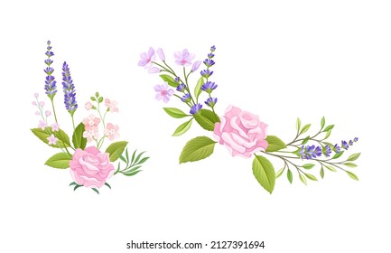 Pink Rose Bud and Tender Lavender Flower Twigs Arranged in Decor Composition Vector Set