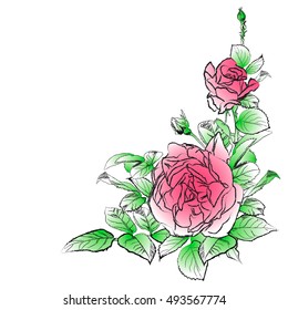 Pink rose with buds and leaves on a white background. Handmade charcoal drawing