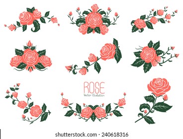 Pink rose Collection, vector illustration