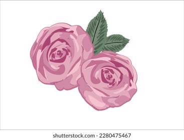 pink rose color flowe rhand drawn