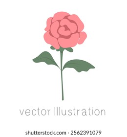 Pink rose for Valentine’s Day vector illustration.